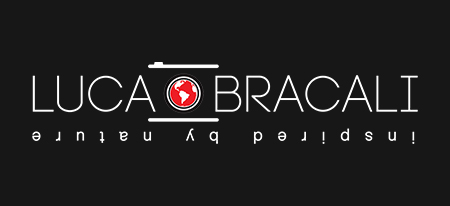 Luca Bracali